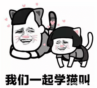 学猫叫.gif